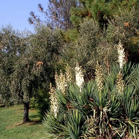 Casale Rinnovato Immerso Nella Campagna Con Splendida Piscina Privata Dom wakacyjny *